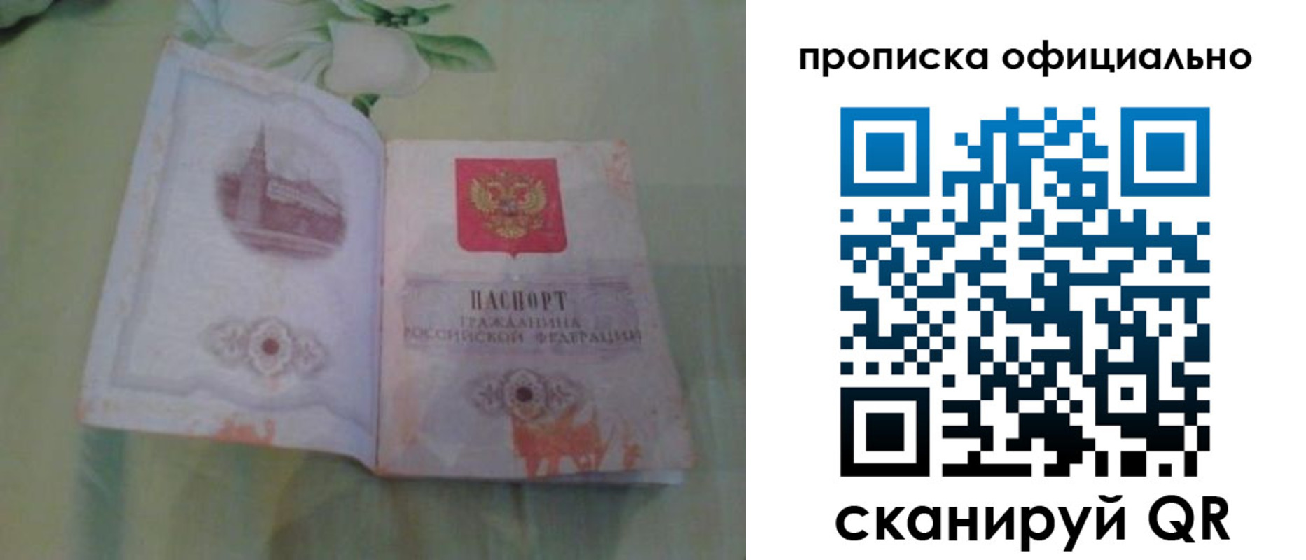 где прописаться в Владимирской области